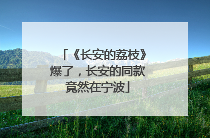 《长安的荔枝》爆了，长安的同款竟然在宁波