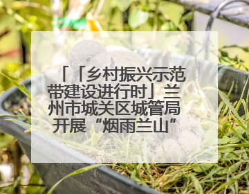 「乡村振兴示范带建设进行时」兰州市城关区城管局开展“烟雨兰山”区域综合整治专项行动