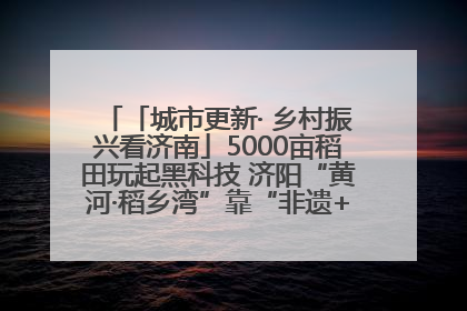 「城市更新· 乡村振兴看济南」5000亩稻田玩起黑科技 济阳“黄河·稻乡湾”靠“非遗+露营”火出圈