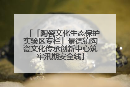 「陶瓷文化生态保护实验区专栏」景德镇陶瓷文化传承创新中心筑牢汛期安全线