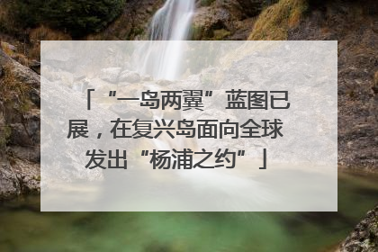 “一岛两翼”蓝图已展，在复兴岛面向全球发出“杨浦之约”