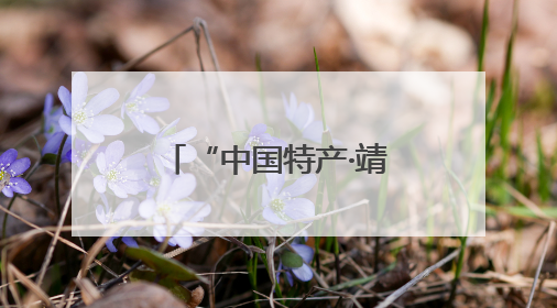 “中国特产·靖远馆”上线京东