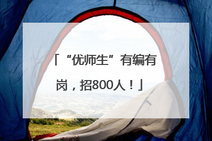 “优师生”有编有岗，招800人！