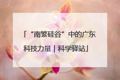 “南繁硅谷”中的广东科技力量｜科学驿站