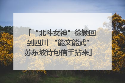 “北斗女神”徐颖回到四川 “能文能武”苏东坡诗句信手拈来