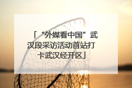 “外媒看中国”武汉段采访活动首站打卡武汉经开区