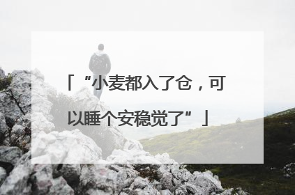 “小麦都入了仓，可以睡个安稳觉了”