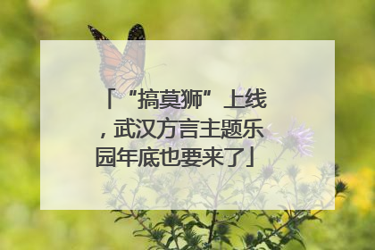 “搞莫狮”上线，武汉方言主题乐园年底也要来了