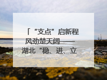 “支点”启新程 风劲楚天阔——湖北“稳、进、立、破”谱写“荆”彩篇章