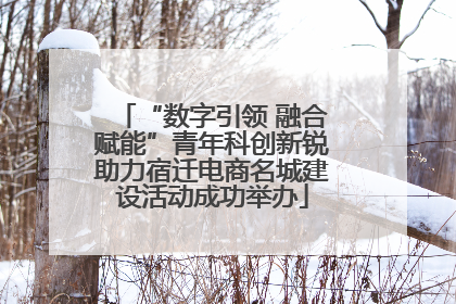 “数字引领 融合赋能”青年科创新锐助力宿迁电商名城建设活动成功举办