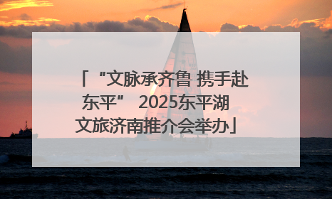 “文脉承齐鲁 携手赴东平” 2025东平湖文旅济南推介会举办