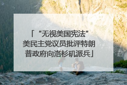 “无视美国宪法” 美民主党议员批评特朗普政府向洛杉矶派兵