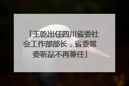 王乾出任四川省委社会工作部部长，省委常委靳磊不再兼任