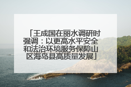 王成国在丽水调研时强调：以更高水平安全和法治环境服务保障山区海岛县高质量发展