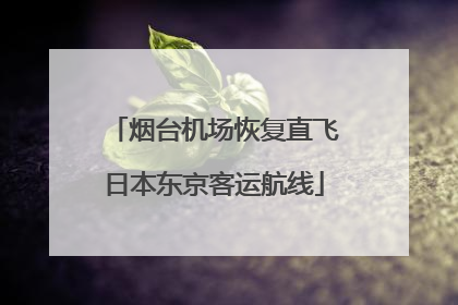 烟台机场恢复直飞日本东京客运航线