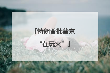 特朗普批普京“在玩火”
