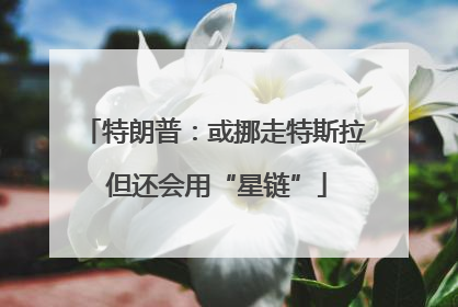 特朗普：或挪走特斯拉 但还会用“星链”