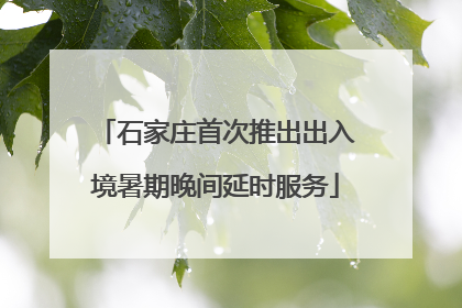 石家庄首次推出出入境暑期晚间延时服务