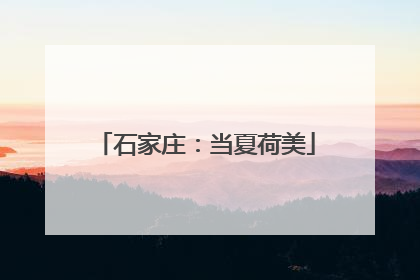 石家庄：当夏荷美