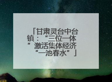 甘肃灵台中台镇：“三位一体”激活集体经济“一池春水”
