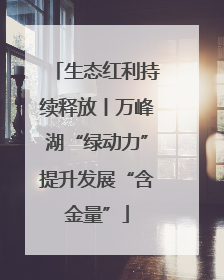 生态红利持续释放丨万峰湖“绿动力”提升发展“含金量”