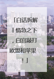 白话拆解丨情急之下，白宫敲打欧盟和苹果！