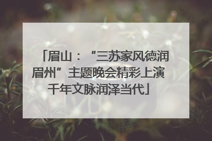 眉山：“三苏家风德润眉州”主题晚会精彩上演千年文脉润泽当代