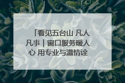 看见五台山 凡人凡事｜窗口服务暖人心 用专业与温情诠释责任担当