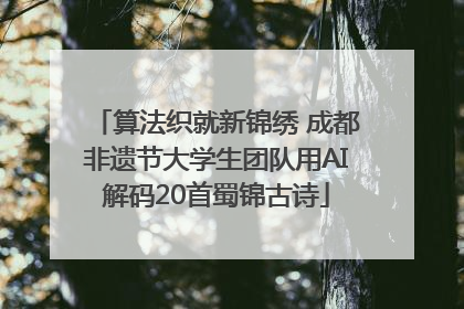 算法织就新锦绣 成都非遗节大学生团队用AI解码20首蜀锦古诗