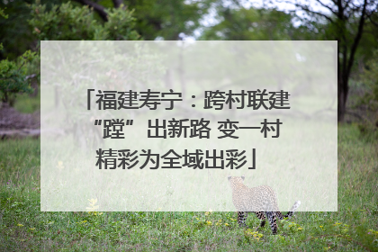 福建寿宁：跨村联建“蹚”出新路 变一村精彩为全域出彩