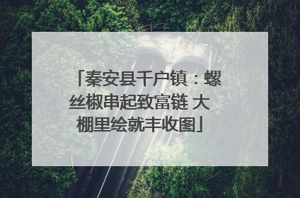 秦安县千户镇：螺丝椒串起致富链 大棚里绘就丰收图