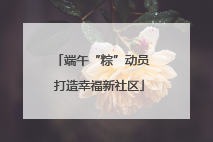 端午“粽”动员 打造幸福新社区