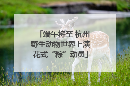 端午将至 杭州野生动物世界上演花式“粽”动员