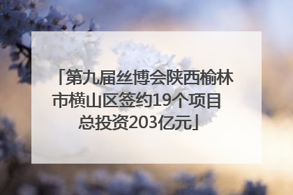 第九届丝博会陕西榆林市横山区签约19个项目 总投资203亿元