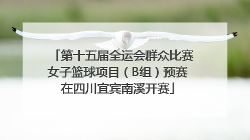 第十五届全运会群众比赛女子篮球项目（B组）预赛在四川宜宾南溪开赛