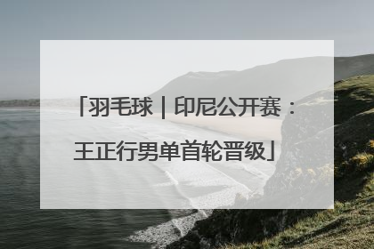 羽毛球｜印尼公开赛：王正行男单首轮晋级