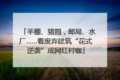 羊棚、猪圈，邮局、水厂……看废弃建筑“花式逆袭”成网红村咖