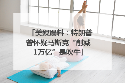 美媒爆料：特朗普曾怀疑马斯克“削减1万亿”是吹牛