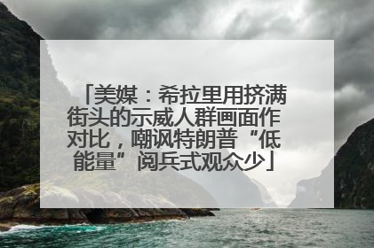 美媒：希拉里用挤满街头的示威人群画面作对比，嘲讽特朗普“低能量”阅兵式观众少