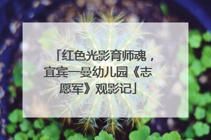 红色光影育师魂，宜宾一曼幼儿园《志愿军》观影记