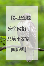 织密金桂安全网格，共筑平安家园防线