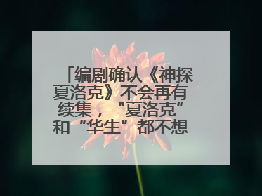 编剧确认《神探夏洛克》不会再有续集，“夏洛克”和“华生”都不想再出演了