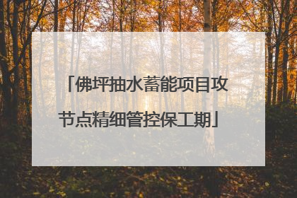 佛坪抽水蓄能项目攻节点精细管控保工期
