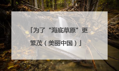 为了“海底草原”更繁茂（美丽中国）