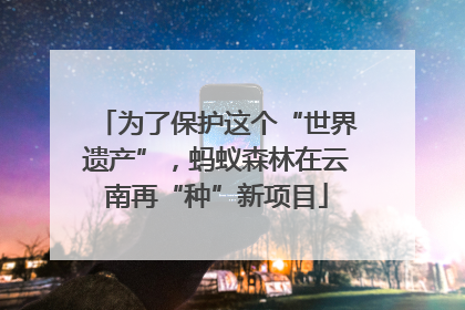为了保护这个“世界遗产”，蚂蚁森林在云南再“种”新项目