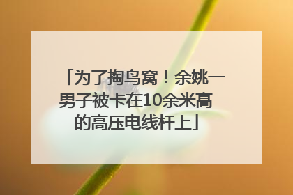 为了掏鸟窝！余姚一男子被卡在10余米高的高压电线杆上