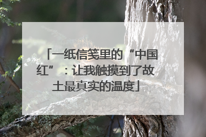 一纸信笺里的“中国红”：让我触摸到了故土最真实的温度