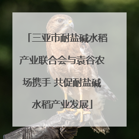 三亚市耐盐碱水稻产业联合会与袁谷农场携手 共促耐盐碱水稻产业发展