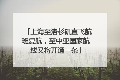 上海至洛杉矶直飞航班复航，至中亚国家航线又将开通一条
