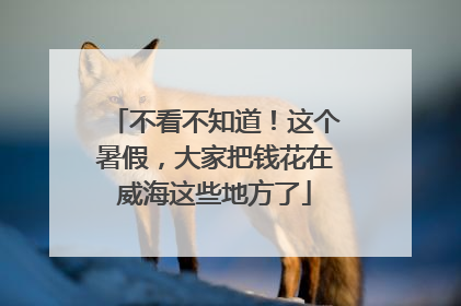 不看不知道！这个暑假，大家把钱花在威海这些地方了